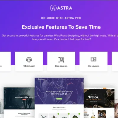 Astra Pro Theme - Fast, Multipurpose WordPress Theme | DigiTechPak