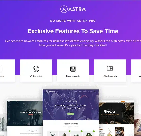 Astra Pro Theme - Fast, Multipurpose WordPress Theme | DigiTechPak